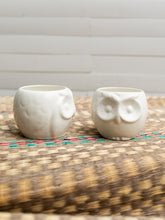 maceta-ceramica-para-plantas-de-interior-maceta-buho-cuidados-de-plantas-decoracion-del-hogar-con-plantas-purificadoras-habibi-plantitas.jpg